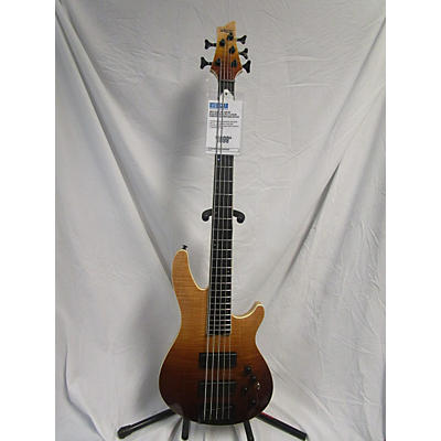 Schecter Guitar Research SLS Elite 5 Electric Bass Guitar