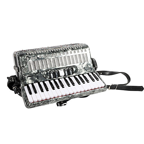 SofiaMari SM 3472 34 Piano 72 Bass Button Accordion Condition 3 - Scratch and Dent Pearl Gray 197881375270