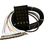 ProCo SMC1604FBQ StageMASTER Snake 16x4 50 ft.