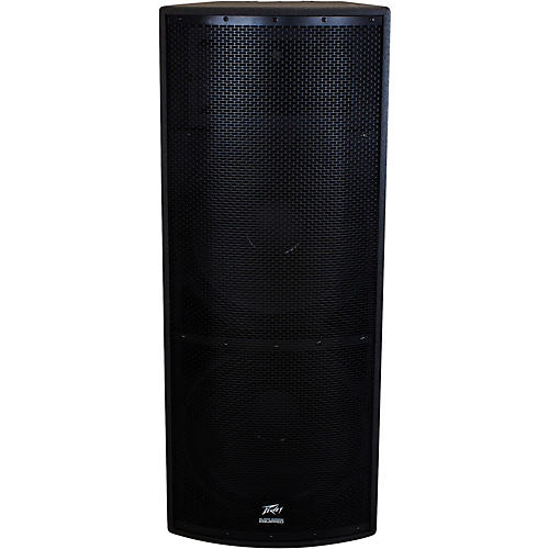 Peavey double 15 store speakers