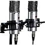 Aston Microphones SPIRIT STEREO PAIR - 2 High-performance, switchable pattern, large diaphragm condenser microphone