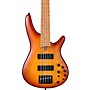 Ibanez SR500E 5-String Electric Bass Guitar Light Violin Sunburst Flat