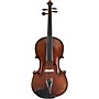 Scherl and Roth SR72 Series Professional Viola 15.5 in.