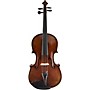 Scherl and Roth SR72 Series Professional Viola Outfit 15.5 in.