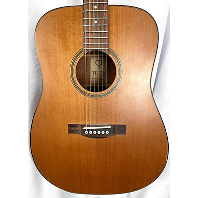 Teton STS105NT-AR Acoustic Guitar