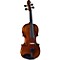 SV-500 Series Violin Outfit Level 2 1/2 Size 888365336190