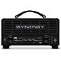 Synergy SYN-20IR Tube Amp Head and Friedman DS Module Bundle