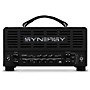 Synergy SYN-20IR Tube Amp Head and Synergy BMAN Module Bundle