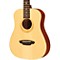 Safari Muse Spruce 3/4 Size Travel Acoustic Guitar Package Level 1