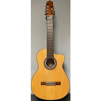 Ibanez Salvador Acoustic Guitar