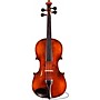 Open-Box Eastman Samuel Eastman VA145 Series+ Viola Outfit with Case and Bow Condition 2 - Blemished 15 in. 197881181475