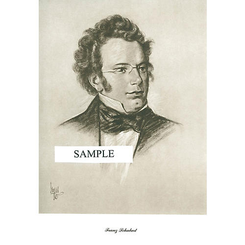 Schubert (Lupas Large Portrait Poster) Music Sales America Series