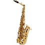 Selmer Paris SeleS AXOS Series Alto Saxophone Lacquer