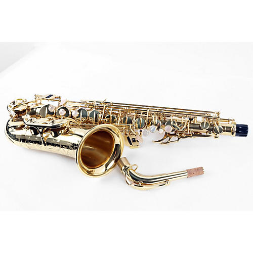 Selmer Paris SeleS AXOS Series Alto Saxophone Condition 3 - Scratch and Dent Lacquer 197881121730