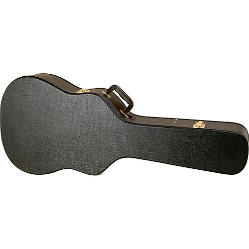 Semi-Acoustic Case