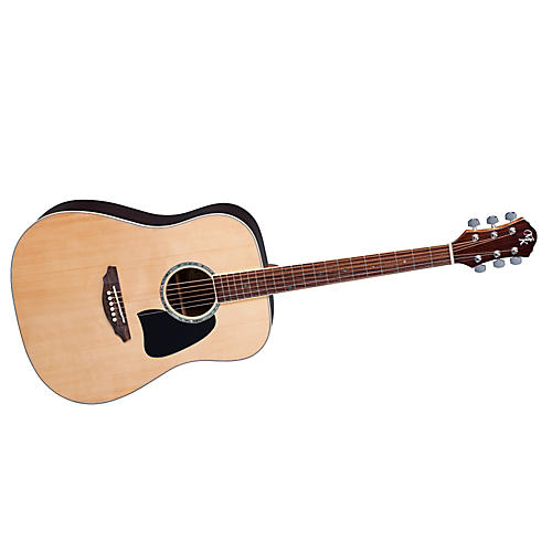 Series 10 Dreadnought Acoustic Guitar