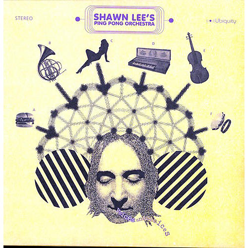 Shawn Lee - Voices and Choices