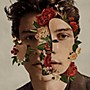ALLIANCE Shawn Mendes - Shawn Mendes