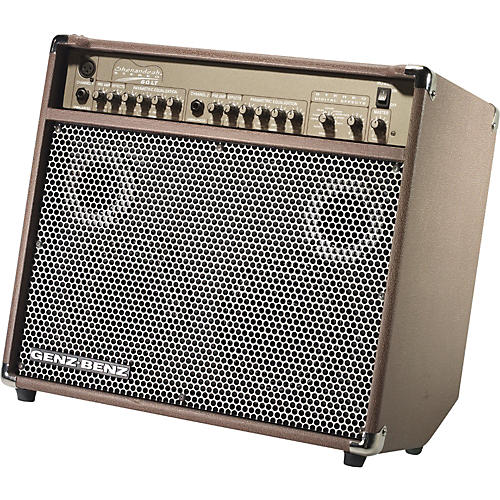 Shenandoah Series Shen 60 LT 60W 2x6.5 Acoustic Guitar Combo Amp