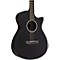 Shorty Satin Acoustic-Electric Guitar Level 2 Graphite 888366003626