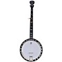 Open-Box Deering Sierra 5-String Banjo Condition 2 - Blemished  197881185268