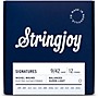 Stringjoy Signatures 12 String Nickel Wound Electric Guitar Strings 9 - 42