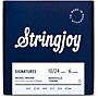 Stringjoy Signatures 6 String Nickel Wound Electric Guitar Strings 10 - 24
