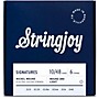 Stringjoy Signatures 6 String Nickel Wound Electric Guitar Strings 10 - 48 (Wound 3rd)