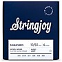 Stringjoy Signatures 6 String Nickel Wound Electric Guitar Strings 10 - 50
