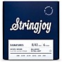 Stringjoy Signatures 6 String Nickel Wound Electric Guitar Strings 8 - 40
