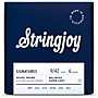 Stringjoy Signatures 6 String Nickel Wound Electric Guitar Strings 9 - 42