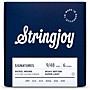 Stringjoy Signatures 6 String Nickel Wound Electric Guitar Strings 9 - 48