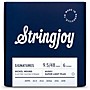 Stringjoy Signatures 6 String Nickel Wound Electric Guitar Strings 9.5 - 48