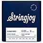 Stringjoy Signatures 8 String Nickel Wound Electric Guitar Strings 10 - 85