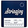 Stringjoy Signatures 8 String Nickel Wound Electric Guitar Strings 11 - 85