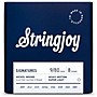 Stringjoy Signatures 8 String Nickel Wound Electric Guitar Strings 9 - 80