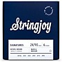 Stringjoy Signatures Bass 6 Nickel Wound Guitar Strings 24 - 90