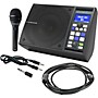 TC Helicon SingThing