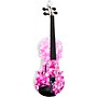 Rozanna's Violins Snowflake II Series Violin Outfit 4/4