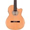 Sofia S63CW Classical Acoustic-Electric Guitar Level 2 Natural 190839056429