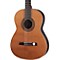 Solid Cedar Top Laurel Body Classical Acoustic Guitar Level 2 High Gloss Natural 888365256474