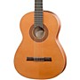 Open-Box Hofner Solid Cedar Top Mahogany Body Classical Acoustic Guitar Condition 1 - Mint Matte Natural