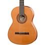 Open-Box Hofner Solid Cedar Top Mahogany Body Classical Acoustic Guitar Condition 2 - Blemished Matte Natural 197881276218