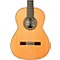 Solista CD/IN Acoustic Nylon String Classical Guitar Level 2  190839002211