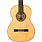 Solista Flamenca Acoustic Nylon String Flamenco Guitar Level 2  888365174266