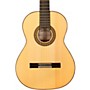 Cordoba Solista Flamenca Acoustic Nylon String Flamenco Guitar