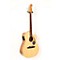 Sonoran SCE Wildwood IV Acoustic-Electric Guitar Level 3 Natural 888365411330