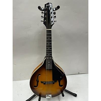Savannah Sosa090 Tsn Acoustic Guitar