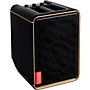 Positive Grid Spark EDGE Portable 4-Channel Smart Amp & PA Black