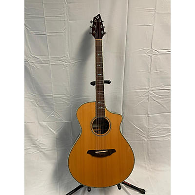 Breedlove Stage C25 Acoustic Electric Guitar